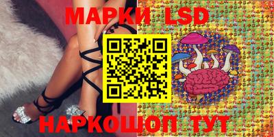 гидропоника Севастополь