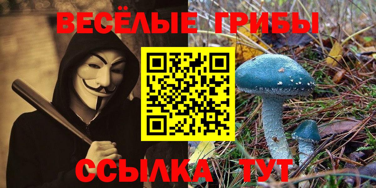 Нягань  Псилоцибиновые грибы Psilocybine cubensis  закладка  Вход с VPN 